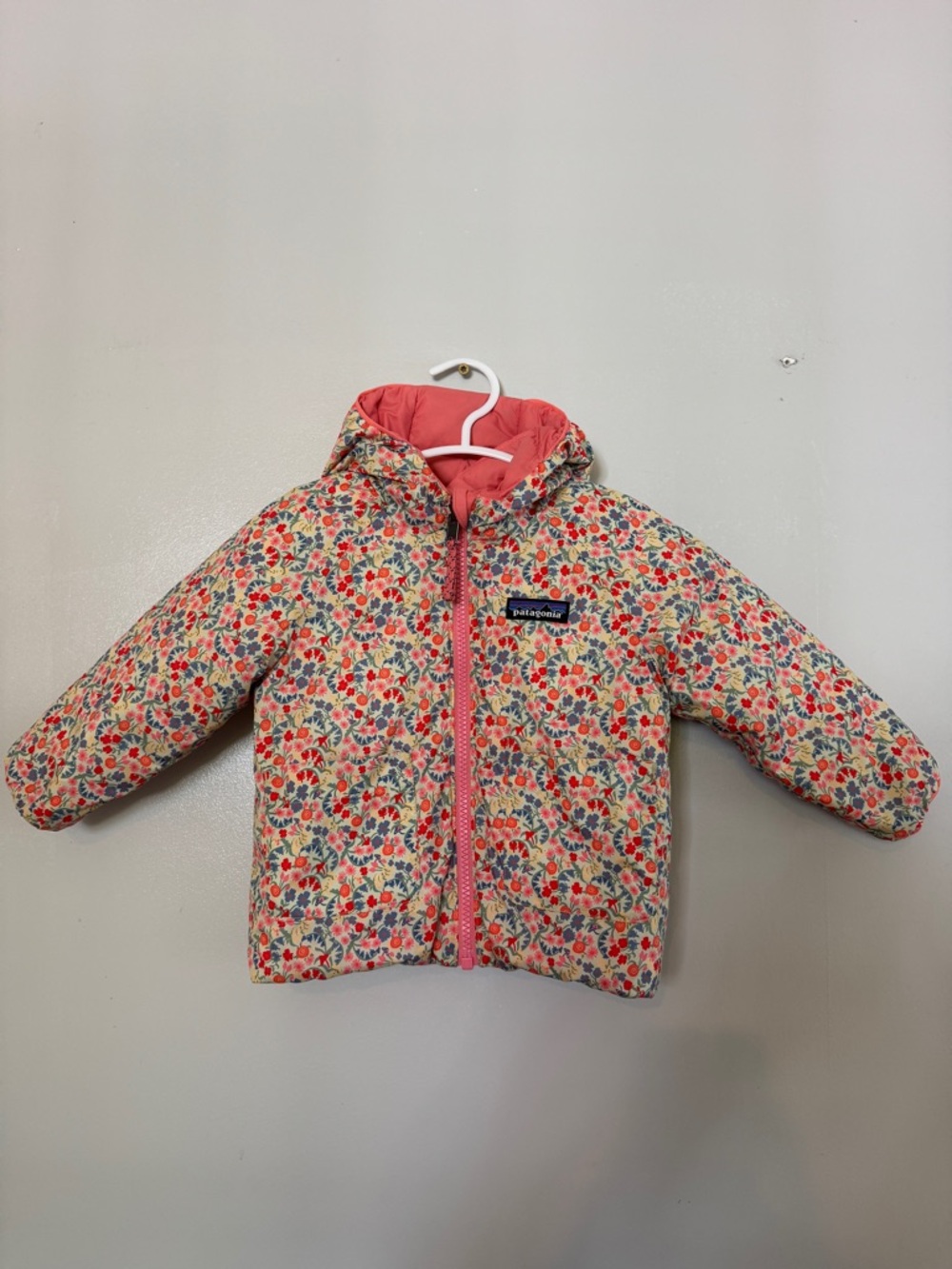 Patagonia down hoodie